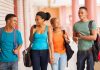Volunteer Internship United Nations Programme for Young People