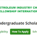 2024/2025 PICFI Scholarship Award for Nigerian Undergraduates